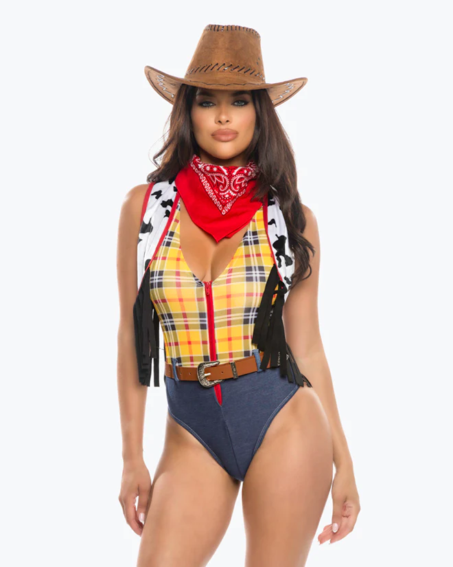 6555 - 4pc Western Story Playmate - Image 4