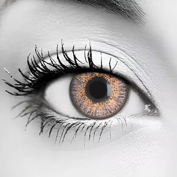 Violet Rose Colored Contacts – Bella Contact Lenses