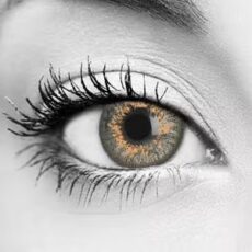 Platinum Gray Colored Contacts – Bella Contact Lenses