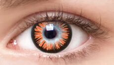 Chic Hazel Autumn Colored Contacts