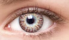 Chic Brown Colored Contacts