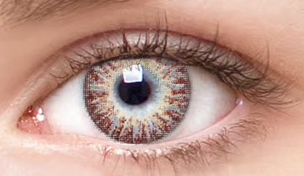 Chic Brown Colored Contacts
