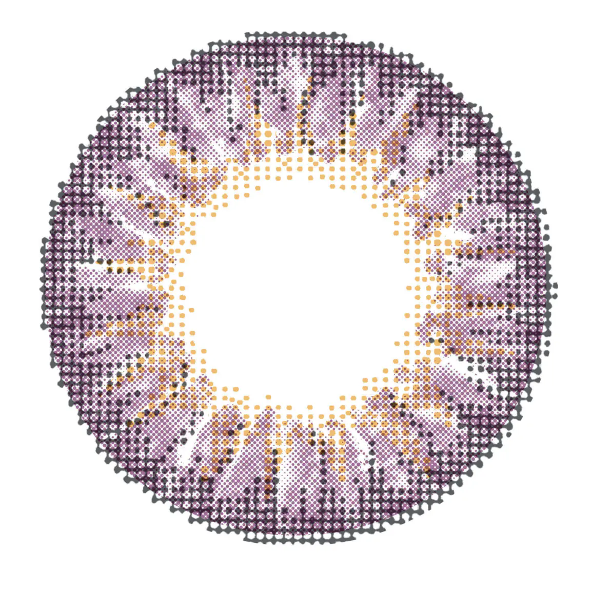 Chic Amethyst Colored Contacts - Image 2
