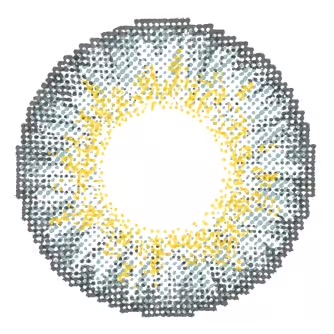 Chic Gray Colored Contacts - Image 2