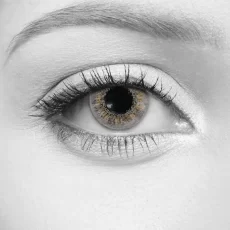 Coastal Grey Contact Lenses – LOOX