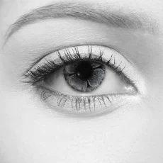 Bloom Grey Lenses – LOOX