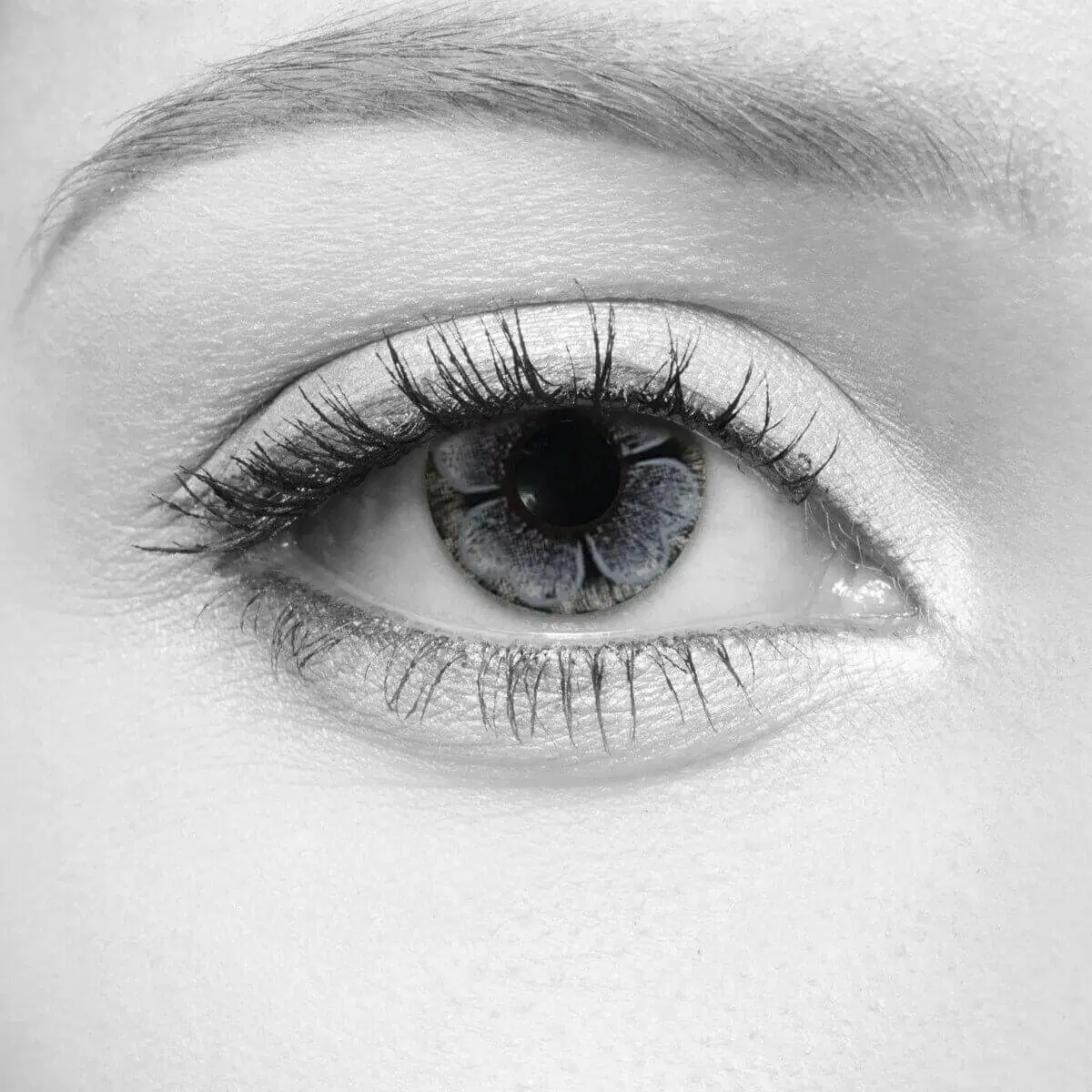 Bloom Grey Lenses – LOOX