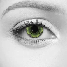 Bloom Green Lenses – LOOX