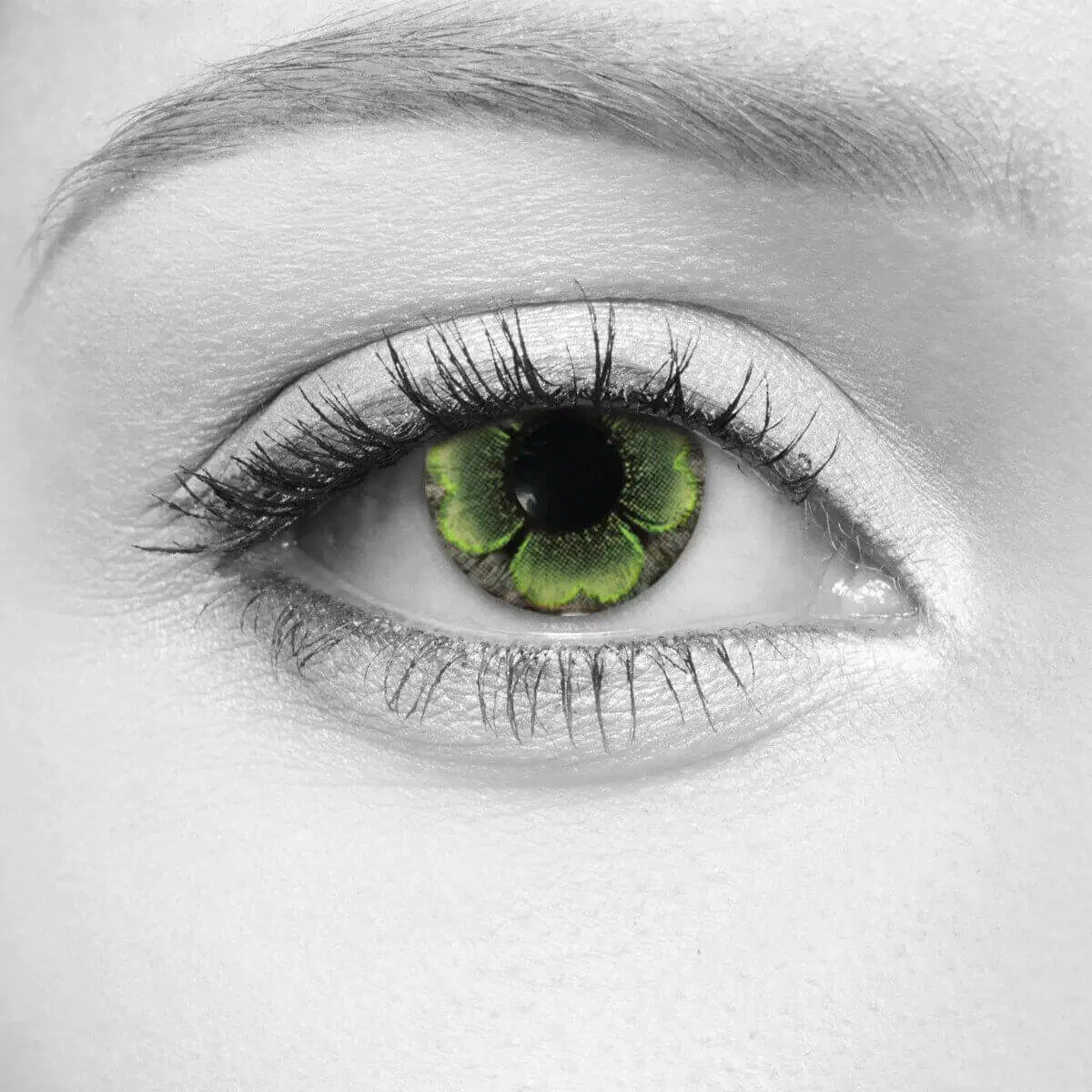 Bloom Green Lenses – LOOX