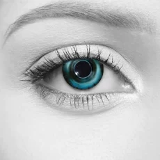 Selene Lenses – LOOX
