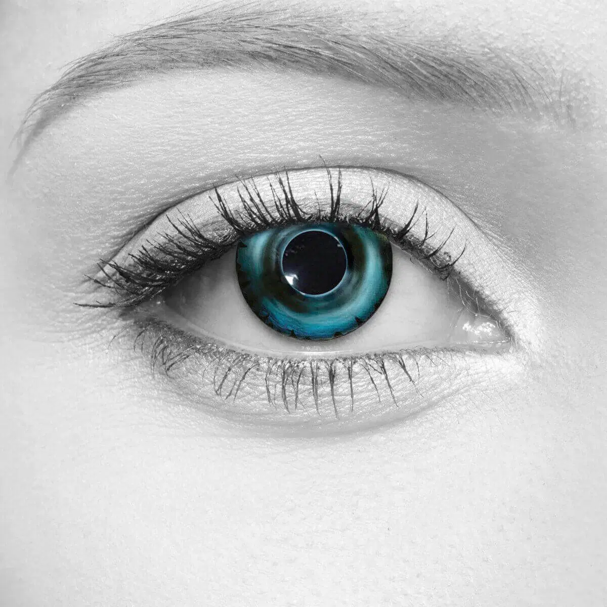 Selene Lenses – LOOX