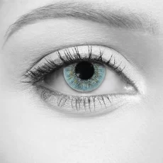 Cobalt Blue Lenses – LOOX