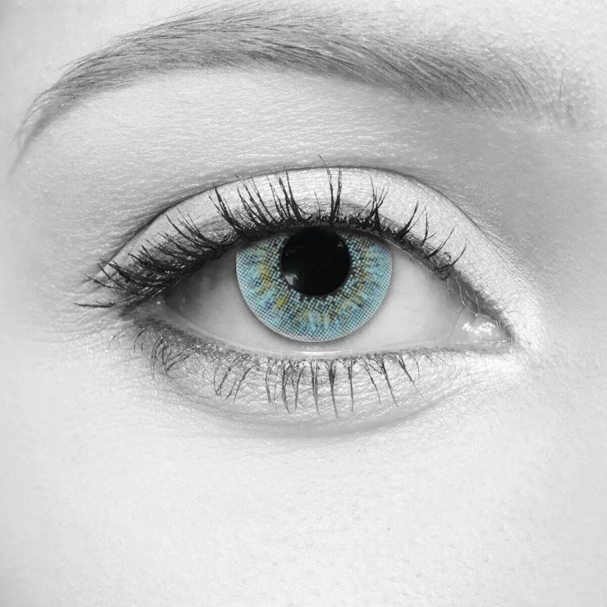 Cobalt Blue Lenses – LOOX