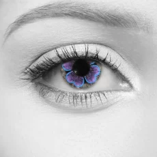 Bloom Violet Lenses – LOOX
