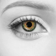 Enchanted Lenses – LOOX