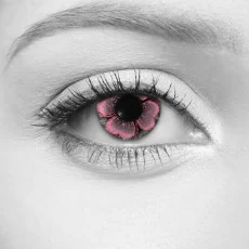 Bloom Pink Lenses – LOOX