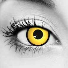 Crow Halloween Contact Lenses – Gothika